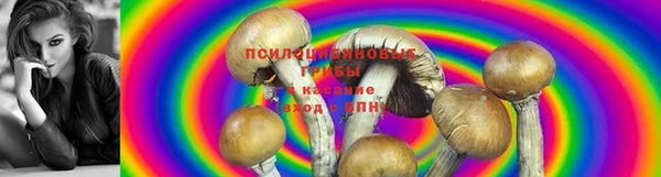 ПСИЛОЦИБИНОВЫЕ ГРИБЫ Балабаново